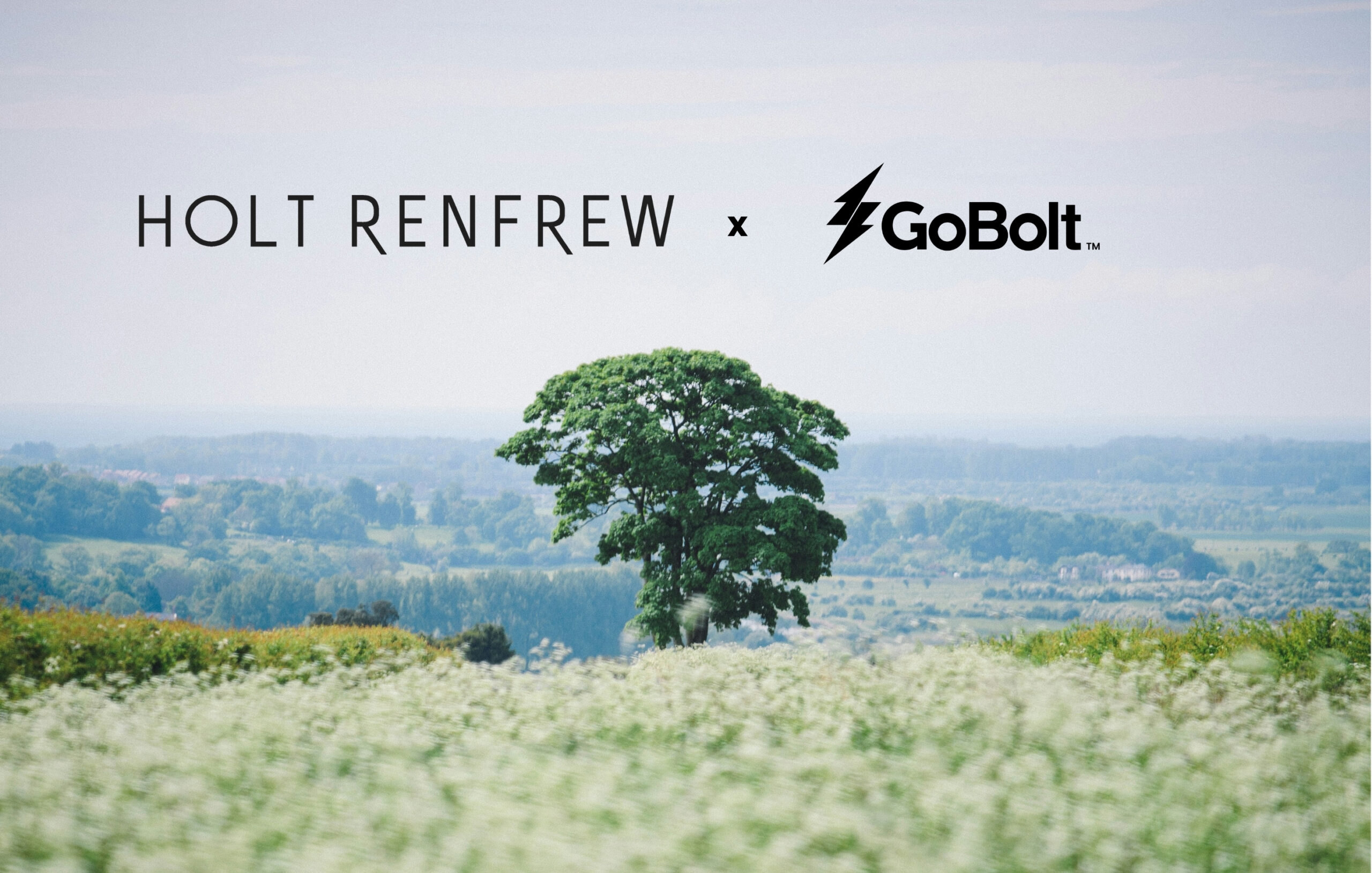 GoBolt x Holt Partnership Announcement 1 scaled